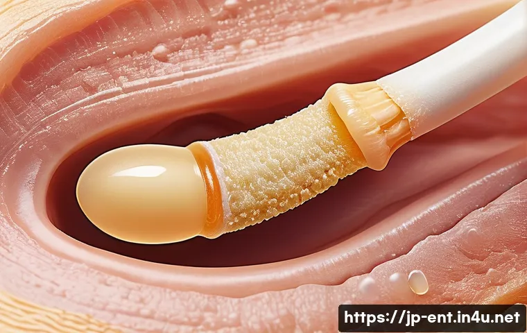 귀지 제거 시 주의사항과 진료 방법 - A close-up, realistic medical illustration of a human ear canal showing both dry and wet types of ea...